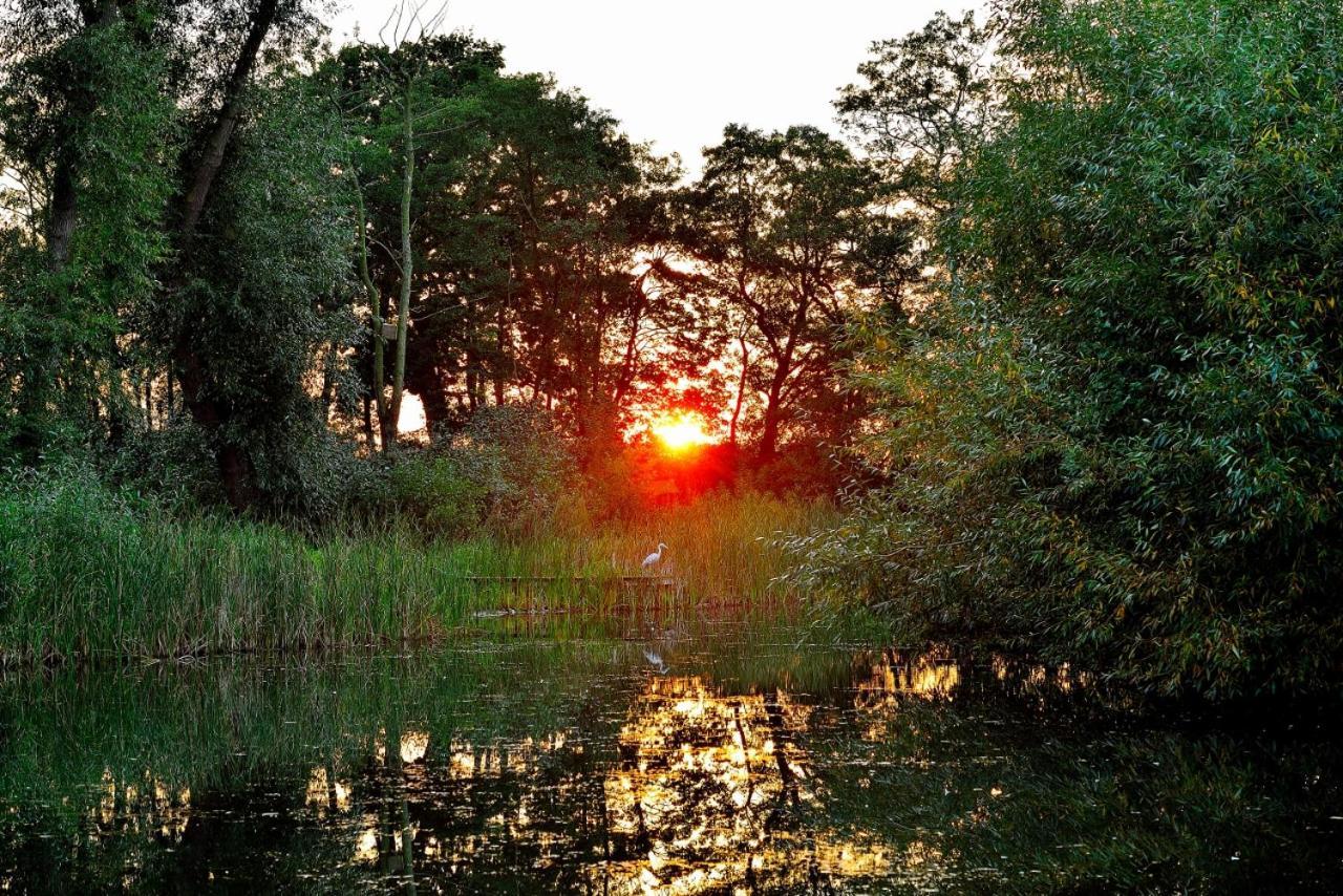 Acorn Glade Glamping York