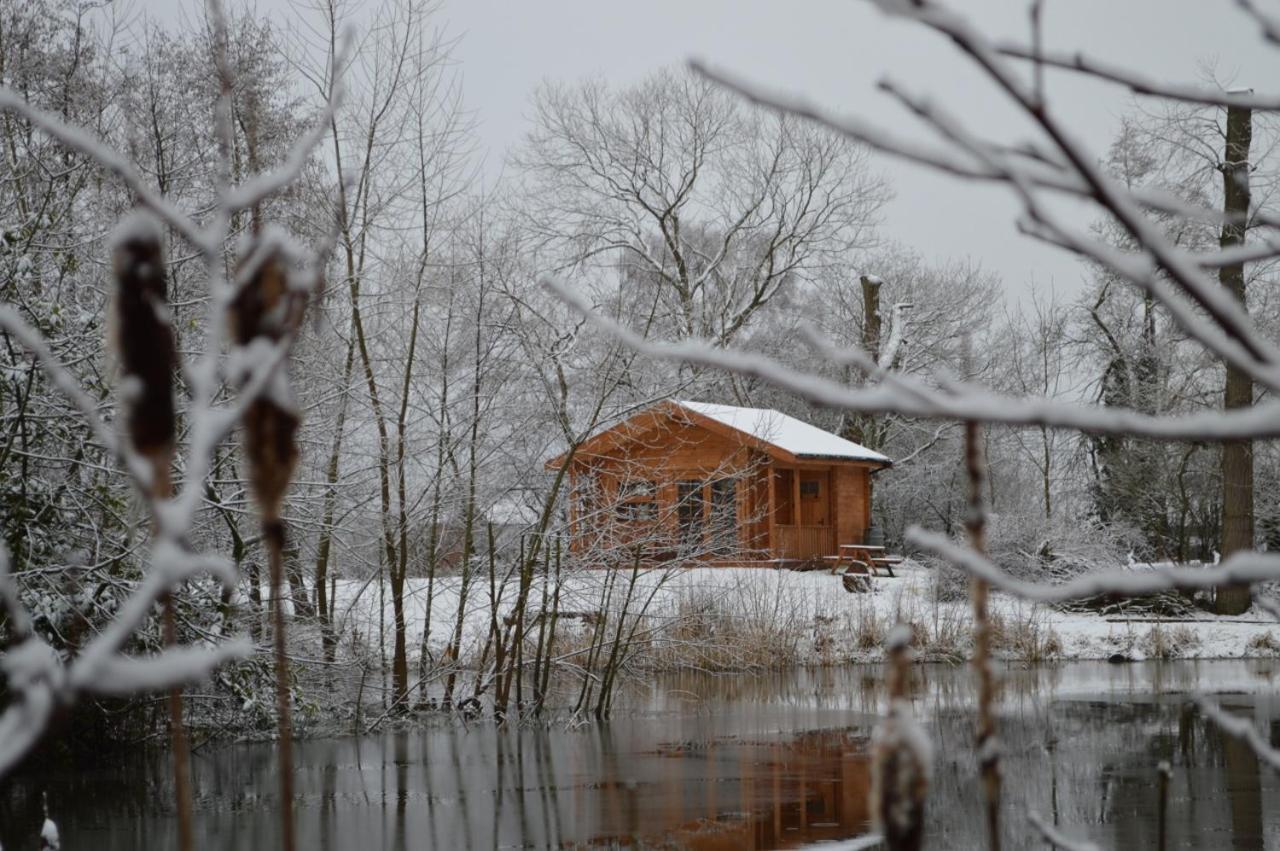 Acorn Glade Glamping Lodge *