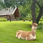 Acorn Glade Glamping
