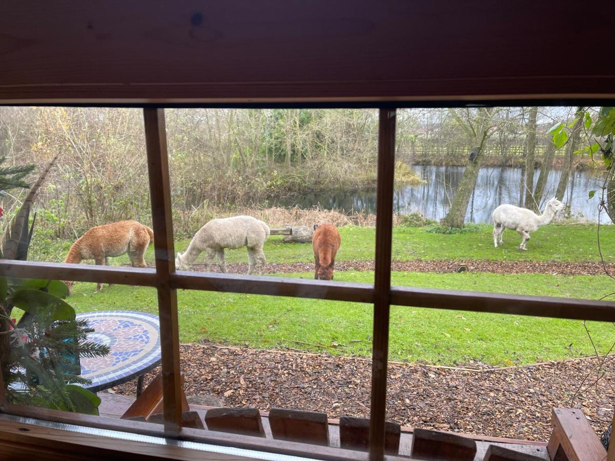 Acorn Glade Glamping Lodge